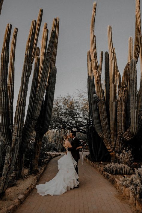 Elopement Destinations, Botanical Garden Wedding, Stone Photography, Cactus Wedding, Arizona Wedding Venues, Arizona Sunset, Desert Botanical Garden, Pnw Wedding, Botanical Gardens Wedding