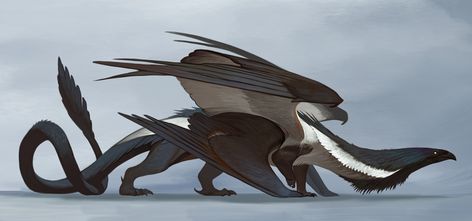 ArtStation - Dragon concept Raven Dragon, Mythical Creature Art, Dragon Concept, Dragon Monster, Dragon Poses, Mythical Creatures Fantasy, Creature Artwork, Cool Monsters, Dragon 2