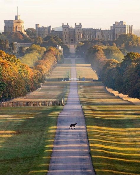 The Long Walk, Castle England, British Castles, England Aesthetic, Castle Aesthetic, Long Walk, Dream Places, Windsor Castle, Beautiful View