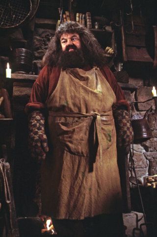 Hagrid in an apron and gloves in his hut from the Philosopher's Stone Harry Potter, Hair, Robbie Coltrane, The Sorcerer's Stone, Trends International, Stone