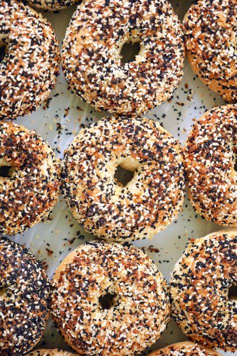 New York Style Bagels, New York Bagels, How To Make Bagels, Bagels Recipe, Lox And Bagels, Sourdough Bagels, New York Bagel, Bigger Bolder Baking, Baking Cookbooks