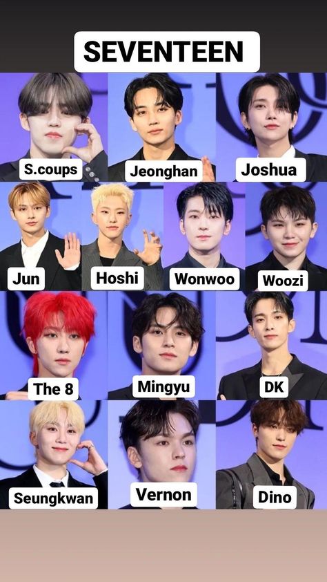 Got 7 Members Names, Svt Members Name, Svt Members With Names, Seventeen Names And Faces, Seventeen With Names, Seventeen All Members, Kpop Members Names, Seventeen Group Photo With Names, Seventeen Names