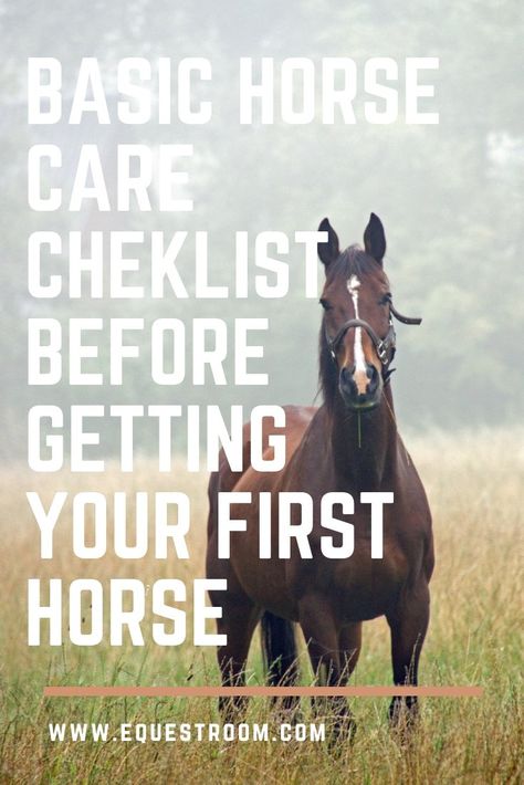 Are you ready for your first horse? Getting a new horse is always an exciting time! It would bring you a lot of happiness, as well as responsibility. Make sure you are ready for your first horse before you make a final decision. Here is a checklist for you, so you can make sure everything is ready to welcome your new friend! You have to understand the basics of feeding the horse. Each horse is different and accordingly has different needs. The amount of feed your horse needs will depend on m Senior Horse Care, Horse Ownership, Buy A Horse, Winter Horse, Horse Care Tips, Horse Info, Horse Riding Tips, Horse Supplies, Horse Health