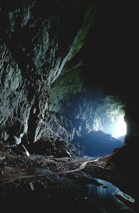 Great Blue Hole Belize, Reed Flute Cave, The Great Blue Hole, Blue Hole Belize, Great Blue Hole, Mysterious Things, Dragon Cave, Limestone Caves, Dark Cave