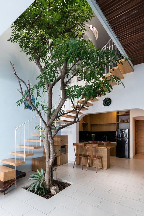 Narrow House Designs, Indoor Tree, Courtyard Design, Indoor Trees, Narrow House, Casa Vintage, Tropical House, Patio Interior, House Stairs