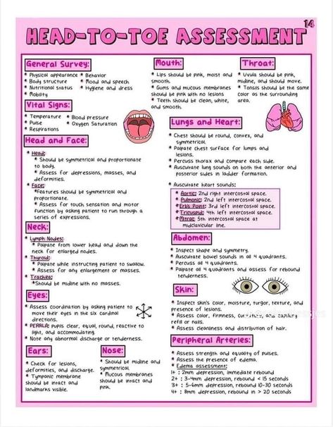 Basic Nursing Knowledge, Nursing School Fundamentals, Upper Gi Disorders Nursing Students, Med Tech Notes, Basic Medical Knowledge, Health Assessment Nursing Notes, Nursing Study Guide Template, Nurse Notes Aesthetic, Maternal Newborn Nursing Study Guide