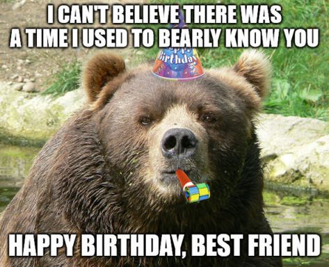 Guy Best Friend Birthday, Happy Birthday Best Friend Funny, Sarcastic Happy Birthday, Best Friend Birthday Memes Funny, Thoughtful Birthday Wishes, Friends Birthday Meme Funny, Happy Birthday Friend Memes, Birthday Wishes For Best Friend Memes, Birthday Memes For Women Hilarious Friends