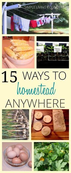 High Rise Apartment, Homesteading Diy, Homestead Farm, High Rise Apartments, Homesteading Skills, Homestead Living, Urban Homesteading, Living Off The Land, Homestead Survival