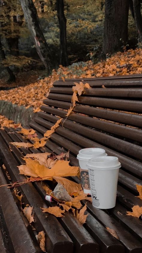 Halloween Board, Fall Mood Board, Pumpkin Spice Season, Fallen Leaves, Wallpaper Vintage, Best Seasons, Fall Pictures, A Cup Of Coffee, Autumn Cozy