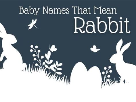 From Cashmere to Satin, each of these baby names that mean rabbit literally refer to the animal or give nod to it. Explore these options — for both boys and girls — and find a delightful baby name for your little one! #babynames #boynames #girlnames Gender Fluid Names, H Baby Names, C Baby Boy Names, M Baby Girl Names, Boy Middle Names, Boy Name Meanings, Nature Names, Beautiful Baby Girl Names, Feminine Names