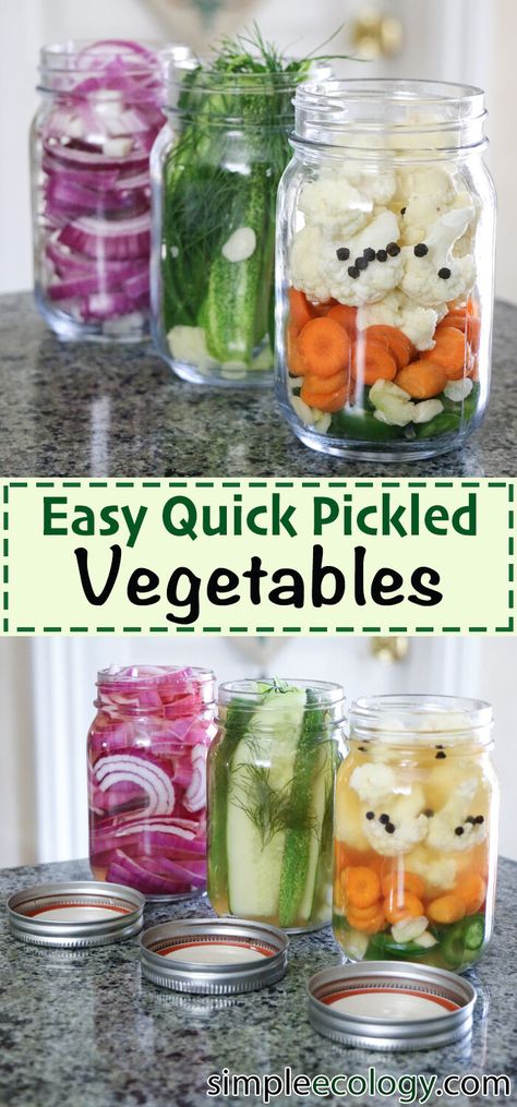 Easy Quick Pickled Vegetables — Simple Ecology Quick Pickled Veggies For Bahn Mi, Pickled Veggies Recipe Jars, Quick Pickle Recipes Simple, Simple Pickle Recipe, Bahn Mi Pickled Vegetables, Japanese Pickled Vegetables, Simple Pickles, Spicy Pickled Vegetables Recipe, Easy Pickled Carrots Recipe