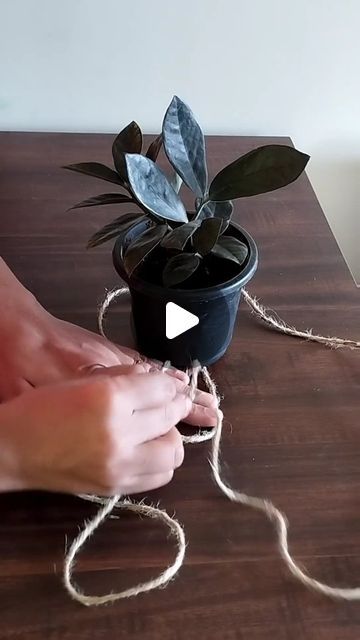 Rope knots for hanging planters, bottles etc Hanging Plants Rope Diy, Hanging Plant Rope Knot, Rope For Hanging Plants, Planter Hanging Ideas, Small Planters Diy, Plant Pot Hanging Ideas, Flower Pot Hanging Ideas, Twine Hanging Planter Diy, How To Hang Pots With Rope