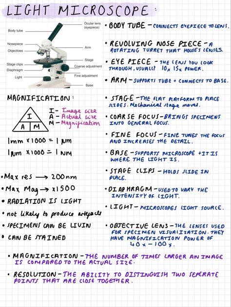 Revision notes for biology A level year one! I have lots more notes on here! Go check them out:) Microscope Notes Biology, Biology 2 Notes, Btec Applied Science Level 3, Biology Revision Gcse Cells, Gcse Science Revision Biology, As Level Biology Notes, Microbiology Study Note, Alevel Bio Notes, A Level Biology Cell Structure Notes