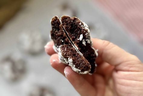 Chocolate Sourdough Crinkle Cookies - Amy Bakes Bread Sourdough Crinkle Cookies, Chocolate Sourdough, Oatmeal Biscuits, Discard Recipes, Pumpkin Scones, Chocolate Crinkle Cookies, Baking Items, Cinnamon Chips, Festive Cookies