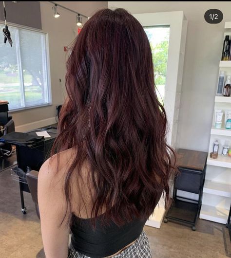 Brunette Hair Red Tint, Dark Brown Wine Hair, Couples Matching Pfps Anime, Dark Red Hair For Brunettes, Brunette To Burgundy Hair, Brunettes With Red Hair, Dark Red Hair On Brunettes, Dark Hair With Burgundy Tint, Cherry Brown Hair Aesthetic