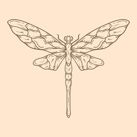 | Free Vector #Freepik #freevector #simple-illustration #line-art #minimal-illustration #hand-drawn-illustration Dragonfly Outline, Dragonfly Sketch, Dragonfly Illustration, Dragonfly Artwork, Dragonfly Drawing, Dragonfly Images, Engraving Tattoo, Butterfly Skull, Dragonfly Tattoo Design