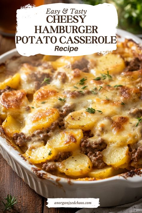 Cheesy Hamburger Potato Casserole - An Organized Chaos Main Dishes With Hamburger Meat, Meat And Potato Casserole Recipes, Hamburger Meat And Potatoes Casseroles, One Dish Hamburger Meals, Ground Beef Scalloped Potato Casserole, Hamburger And Onion Recipes, Burger And Potatoes Recipes, Ground Hamburger Dinner Ideas, Cheesy Ground Beef And Potato Casserole