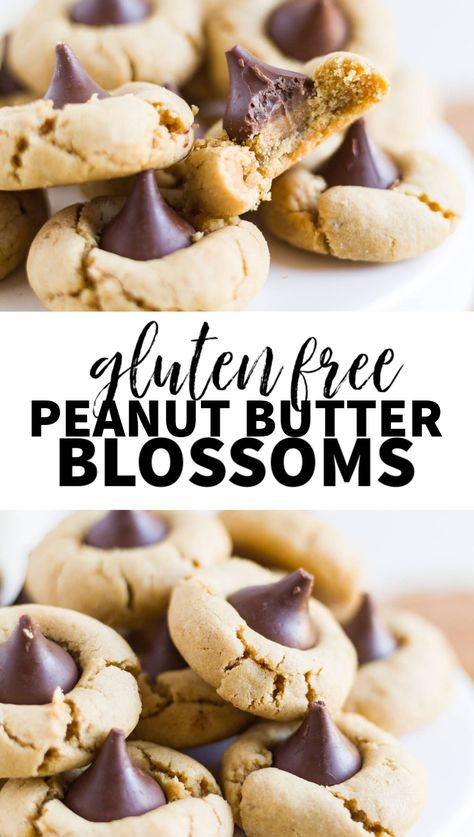 Gluten free peanut butter blossoms are a classic Christmas cookie recipe that all of your gluten free friends and family can eat! They're an easy peanut butter cookie made with Hershey's kisses. You'll love how easy and delicious they are! #christmascookie #peanutbuttercookie #glutenfree Cookies Sans Gluten, Peanut Butter Blossom, Gluten Free Christmas Cookies, Gluten Free Peanut Butter Cookies, Butter Blossoms, Peanut Butter Blossom Cookies, Classic Peanut Butter Cookies, Easy Peanut Butter Cookies, Blossom Cookies