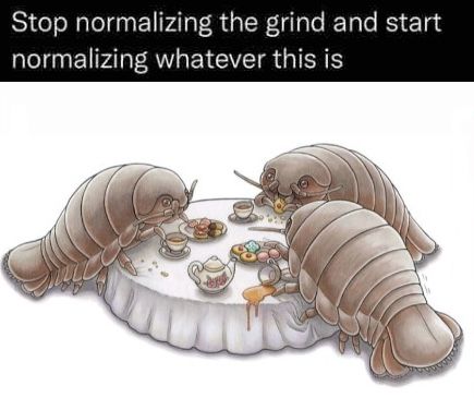 How does it feel to be living my dream Giant Isopod, Dart Frogs, Poison Dart, Cool Bugs, The Grind, Animal Species, Silly Images, Silly Animals, Bugs And Insects