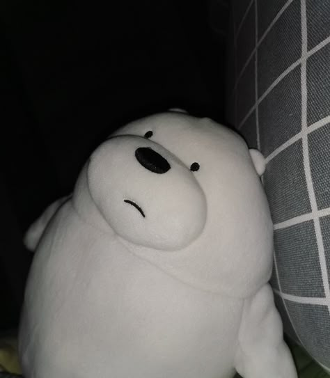 White Plushie Aesthetic, Ice Bear Plushie Aesthetic, Polar Bear Plushie Aesthetic, Ice Bear Stuff Toy, We Bare Bears Stuff Toy, Ice Bear Plushie, Plushies Pfp, Ice Bear Aesthetic, Ice Bear Pfp