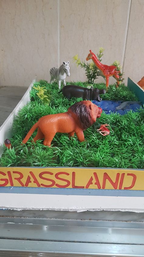 Grassland-Model # school exhibition- Dev Wild Animals Projects For Kids, Grassland Project, Grassland Animals, Environmental Science Projects, Pretty Zinta, Grassland Habitat, School Exhibition, Habitats Projects, Animal Habitat