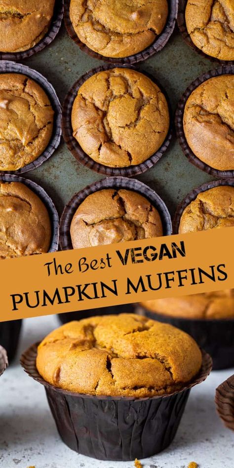 Vegan Pumpkin Chocolate Chip Muffins, Chocolate Chip Muffins Vegan, Vegan Chocolate Chip Muffins, Chocolate Chip Pumpkin Muffins, Vegan Pumpkin Muffins, Meals Vegan, Vegan Pumpkin Spice, Muffins Vegan, Vegan Pumpkin Recipes