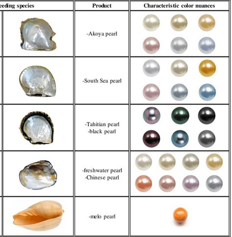 Types Of Pearls, Gemstones Chart, Crystal Wedding Dress, Jewelry Knowledge, Jewelry Education, Pearl Stone, Minerals And Gemstones, Gems And Minerals, Pearl Color