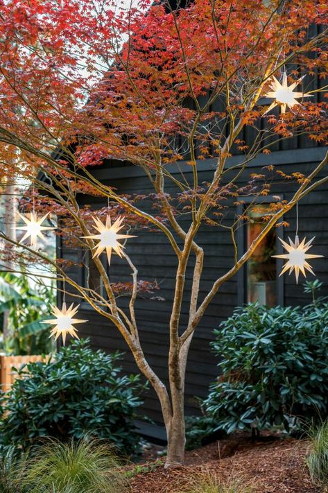 44 Outdoor Christmas Lights Ideas | HGTV Exterior Christmas Lights, Christmas Lights Outside, Christmas House Lights, Outdoor Trees, Xmas Lights, Casa Exterior, Christmas Yard, Outdoor Holidays, Christmas Garden