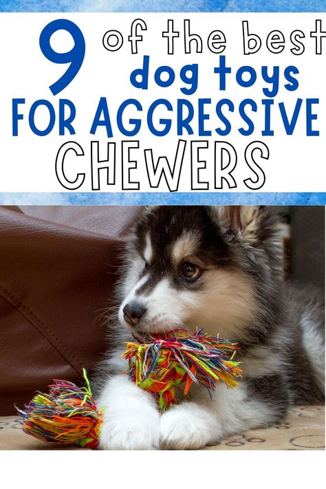 aggressive chew toys for dogs How To Make Dog Toys Diy, Diy Indestructible Dog Toys, Diy Chew Toys For Puppies, Diy Dog Toys For Heavy Chewers Easy, Diy Busy Toys For Dogs, Super Chewer Dog Toys, Best Chew Toys For Puppies, Homemade Puppy Toys, Diy Dog Mental Stimulation Toys