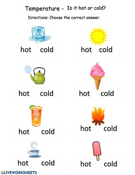 Hot or Cold Temperature online worksheet for Grade 1. You can do the exercises online or download the worksheet as pdf. Ukg Worksheets Evs, Lkg Worksheets Activities Evs, Kindgarden Worksheets, English Worksheets For Kg, Kg 2 Worksheets, Worksheet For Ukg English, Kg 1 Worksheets English, Aba Worksheets For Kids, Evs Worksheet For Ukg Students