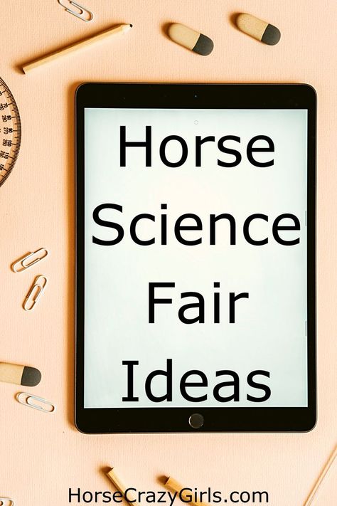 This pin shows an iPad like device that says Horse Science Fair Ideas on the screen. The iPad is surrounded by pencils, paperclips, erasers, and a protractor. 4h Static Projects, Horse Science Fair Projects, 4-h Horse Projects, Winning Science Fair Projects For Middle School, 4h Project Ideas For Fair, 4 H Project Ideas, High School Science Fair Projects Biology Experiment, High School Science Fair Projects, Density Science Fair Project Board