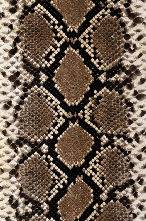 python Animal Print Wallpaper, Snake Skin Pattern, Skin Pattern, A Snake, Skin Art, Print Wallpaper, Snakeskin Print, Animal Skin, Patterns In Nature