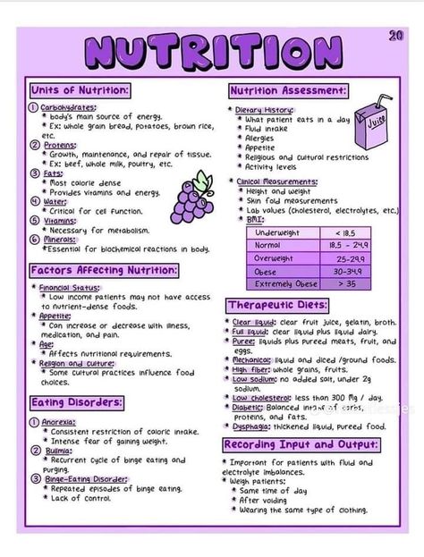 Neurology Nursing, Nursing School Studying Cheat Sheets, Nursing Study Tips, Nursing School Inspiration, Nursing School Essential, Nursing Study Guide, Nursing School Motivation, Medicine Notes, Medical School Life