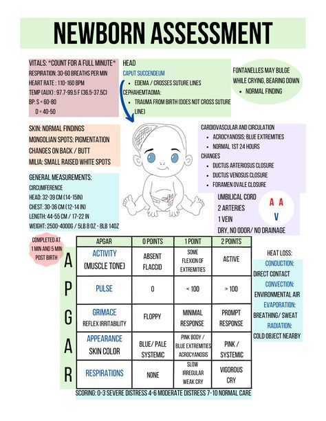 Newborn Assessment #medschool #doctor #medicalstudent - Image Credits: RN_StudyBuddy | Nursing School | Nursing Students Nursing Ob, Nicu Nurse Education, Pediatric Nursing Study, Newborn Assessment, Obstetrics Nursing, Nurse Tips, Newborn Nursing, Midwifery Student, Twitter Inc