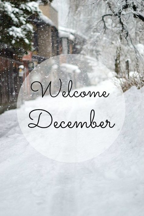 Wow, December already! How did that happen?!? So excited for the next few weeks, LOVE This time of year xx I Love Snow, Winter Schnee, Winter's Tale, I Love Winter, Winter Love, Winter Magic, Winter Scenery, Winter Beauty, Snow Scenes