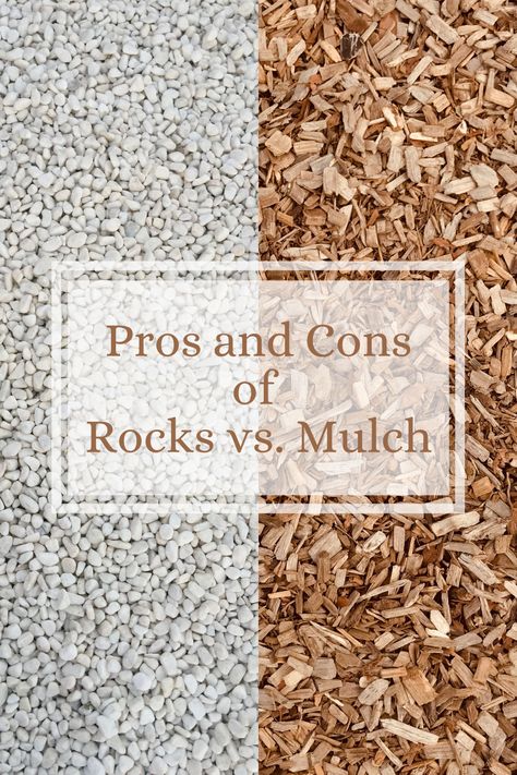 Rocks Vs Mulch Landscaping, Mulch Or Rock Landscaping, Rock Vs Mulch Landscaping, Backyard Mulch Ideas, Mulch Garden Path, Best Mulch For Landscaping, Mulch Around House, Rocks In Flower Bed Landscaping, All Rock Front Yard