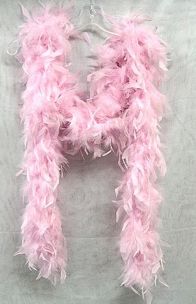 pink feather boa All attending attire Feather Boas Aesthetic, Pink Concert Fits, Boas Aesthetic, Feather Boa Aesthetic, Feather Boa Outfit, Pink Boas, Pink Feather Boa, Sabrina Concert, Flamingo Feather