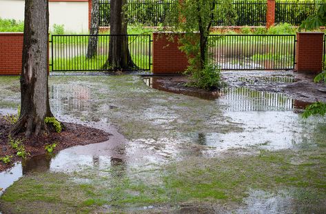 7 Ways to Solve Landscape Drainage Problems - Is Your Property Experiencing Drainage Problems? Anyone who has experienced a flooded basement, damage to their home’s foundations and interior understands the importance of proper drainage. Landscape Drainage, Backyard Drainage, Drainage Ditch, Yard Drainage, French Drain, Drainage Solutions, Yard Project, Rain Garden, Backyard Inspo