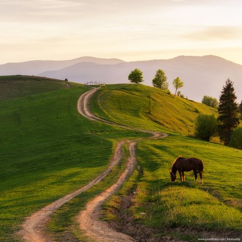 Carpathian mountings , W Ukraine, from Iryna Pretty Landscapes, Dirt Road, Alam Yang Indah, English Countryside, Nature Aesthetic, Pretty Places, A Horse, Ponies, Country Life