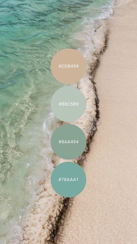 Office Sunroom, Bedroom Palette, Beach Color Palettes, Teal Color Palette, Graphisches Design, House Color Palettes, Color Schemes Colour Palettes, Beach Room, Beach Color