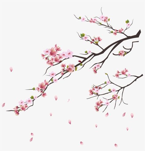 Cherry Blossom Vector, Plant Png, Flower Png Images, Cherry Blossom Painting, Frame Floral, Cherry Blossom Branch, Cherry Blossom Art, Cherry Blossom Tattoo, Blossom Tattoo