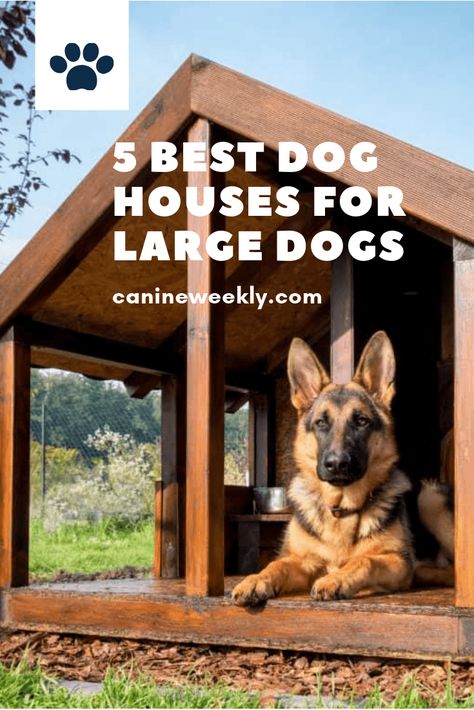 5 Best Dog Houses for Large Dogs. Learn how to select dog houses suitable for large breed dogs. Read here and find one that is perfect for your pup. #canineweekly #doghousesforlargedogs #bestdoghouseideas #housefordogs #dogshelteroutdoor Dog House Diy Outdoor, Large Dog House Plans, Cheap Dog Houses, Outside Dog Houses, Big Dog House, Large Breed Dogs, Build A Dog House, Large Dog House, Dog House Plans