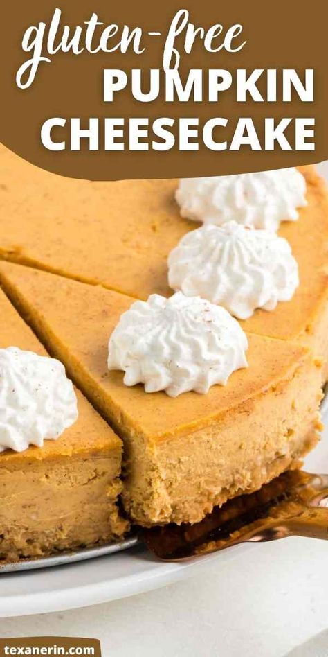 Pumpkin Cream Cheese Gluten Free, Crustless Pumpkin Cheesecake, Gluten Free Cheesecake Crust, Gf Cheesecake, Pumpkin Cheescake, Gluten Free Graham Cracker Crust, Gluten Free Pumpkin Desserts, Gluten Free Pumpkin Cheesecake, Healthy Pumpkin Cheesecake