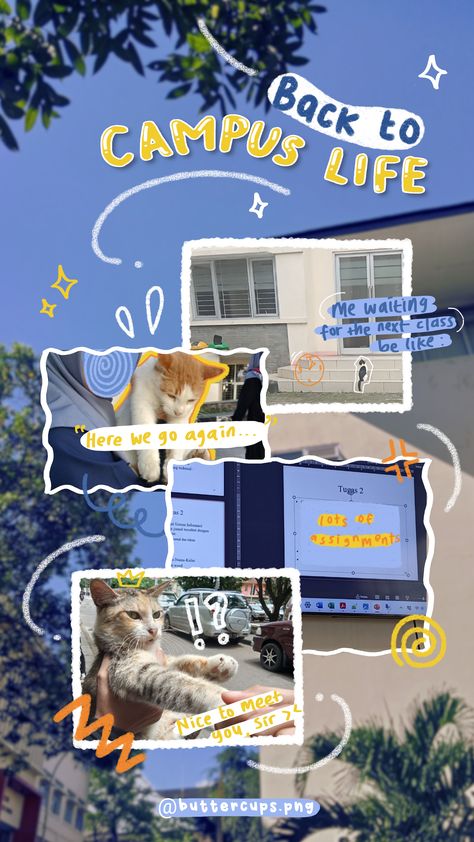 A guide to the best dorms and apartments on campus, including information on room types, amenities, and #Typographic_Design #Scribble_Aesthetic #Canva_Scrapbook #X_Aesthetic How To Make My Instagram Story Aesthetic, Instagram Story Scrapbook, School Instagram Post Ideas, Ig Posts Aesthetic, Scrapbook Ig Story, Scrapbook Typography, Instagram Scrapbook Ideas, Campus Life Aesthetic, Study Story Instagram