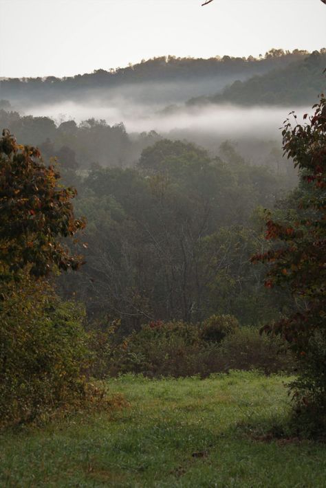 Foggy Appalachian Mountains, Holler Aesthetic, Appalachian Cottagecore, Dark Appalachian Aesthetic, Appalachian Mountains Creepy, Gothic Appalachia, Appalachian Mountains Aesthetic, Appalachia Photography, Appalachian Gothic Aesthetic