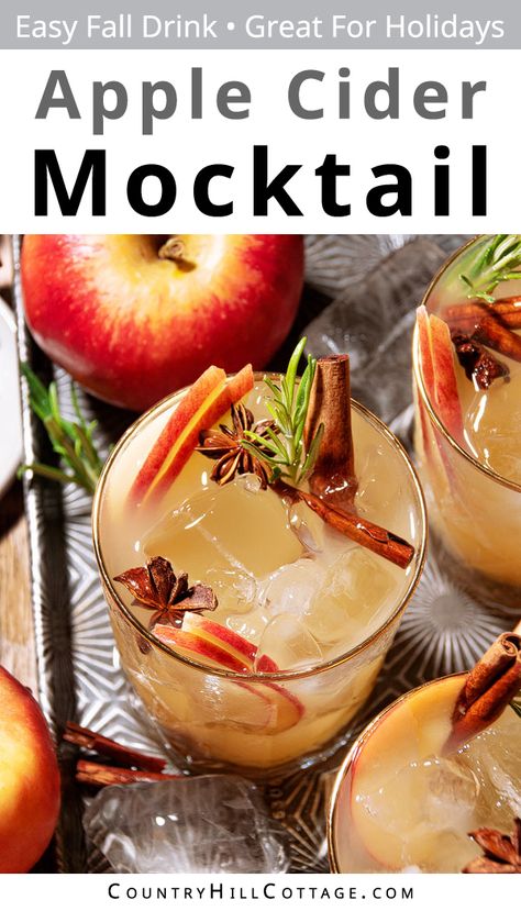 This homemade apple mocktail tastes like autumn in a glass! Made with apple cider, ginger ale, cozy spices, and fresh fruit, everyone can enjoy this light and refreshing fall drink! If you want a fun fall drink for the whole family, this sparkling apple mocktail is the way to go! It’s a deliciously sweet, spiced apple cocktail without alcohol. You get the beautiful flavors of fruity apple, cozy cinnamon, and rich honey. Perfect for a crowd and a hit on holidays! | CountryHillCottage.com Non Alcoholic Apple Cider Drinks, Fall Mocktails Non Alcoholic Big Batch, Apple Cider Drinks Nonalcoholic, Thanksgiving Mocktail Recipe, Cocktail Without Alcohol, Fall Drinks Nonalcoholic, Holiday Apple Cider, Apple Mocktail, Thanksgiving Apple Cider