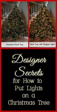 The first step to decorating a Christmas tree, whether fresh or artificial, should be putting on the Christmas lights. Often people do not add enough lights or add them incorrectly, which does not illuminate the Christmas tree like it should. Here are some designer secrets for adding Christmas lights to a Christmas tree, even if you are using a pre-lit tree this year. How To Wrap A Christmas Tree With Lights, Decorating A Real Tree For Christmas, Add Lights To Christmas Tree, Big Lights On Christmas Tree, Lights On Christmas Tree How To Put, Taller Christmas Tree Hack, How To Put Lights On A Tree, How To Add Lights To Christmas Tree, Adding Lights To Christmas Tree