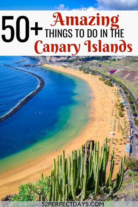 Discover over 50 spectacular activities in the enchanting Canary Islands, Spain! Planning a holiday and wondering which Canary Island is your perfect match? Dive into our guide to find the ideal destination for your dream getaway! Spain Places To Visit, Canary Islands Tenerife, European River Cruises, Perfect Days, Canary Islands Spain, Europe Travel Guide, Island Travel, Europe Travel Tips, Canary Islands