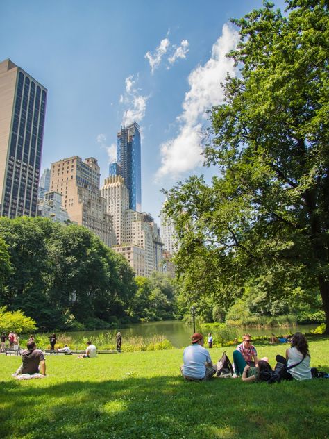 Central Park Picnic, Things To Do In Nyc, Nyc Life, New York Life, Ap Art, The Plaza, Famous Places, New York Travel, City Aesthetic