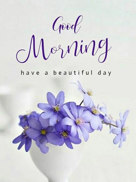 Good Morning Saturday Images with Beautiful Quotes 8 Good Morning Saturday Images, Nice Good Morning Images, Saturday Images, Good Morning Greeting Cards, Beautiful Good Morning, Good Morning Saturday, Good Morning Happy Sunday, Good Morning Flowers Quotes, Good Morning Flowers Pictures